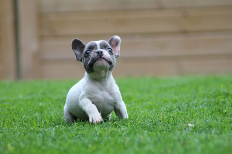 284024717_5763836540312107_694722992694624994_n